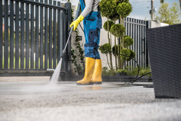 Best Dumpster Area Cleaning  in Monongahela, PA